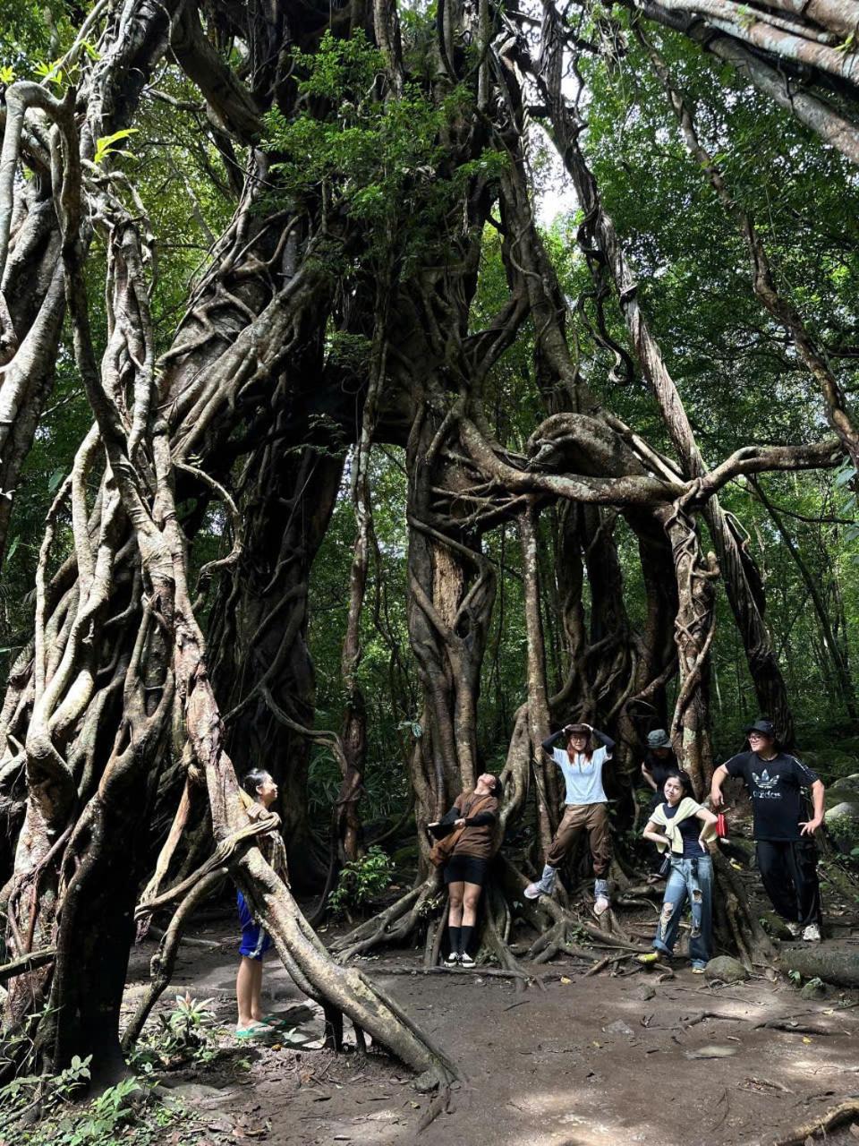 קאט טיין Forest Breath Eco-Lodge מראה חיצוני תמונה