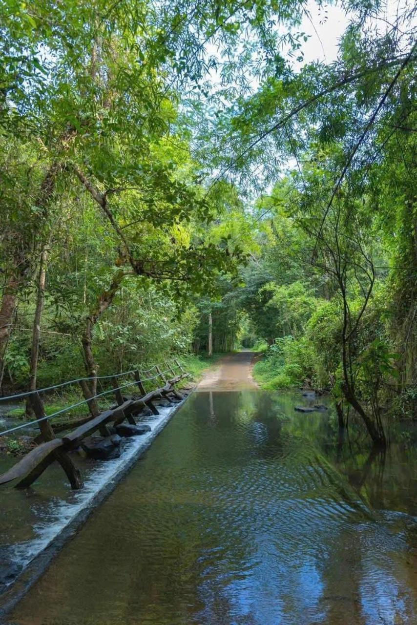 קאט טיין Forest Breath Eco-Lodge מראה חיצוני תמונה